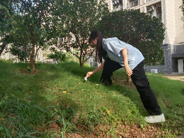 支部成员在拣草坪上的垃圾