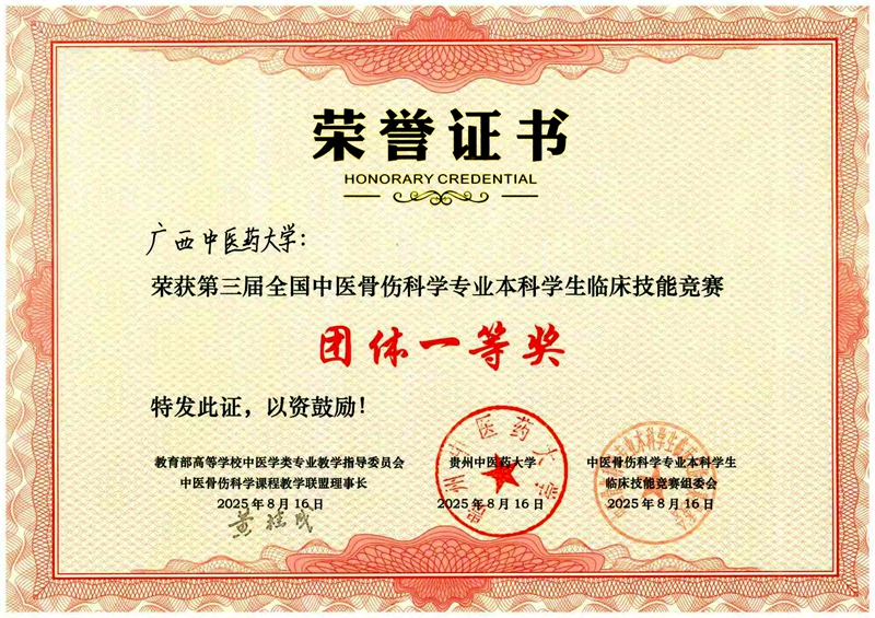 003团体一等奖证书