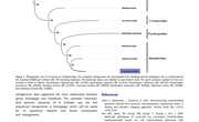 2020-The first complete mitochondrial genome of Actinopyga from Actinopyga echinites Aspidochirotida Holothuriidae