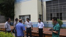 制药厂领导深入龙岗厂区指导锅炉烟囱技改工作