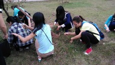 护理学院积极开展三月学雷锋活动