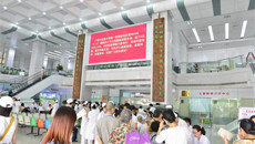 一附院举办大型义诊活动 吸引大量市民