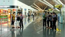 霞披夕阳情无限  霜染秋枫叶正红