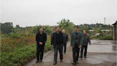 制药厂领导到各部门检查并部署新年开局工作