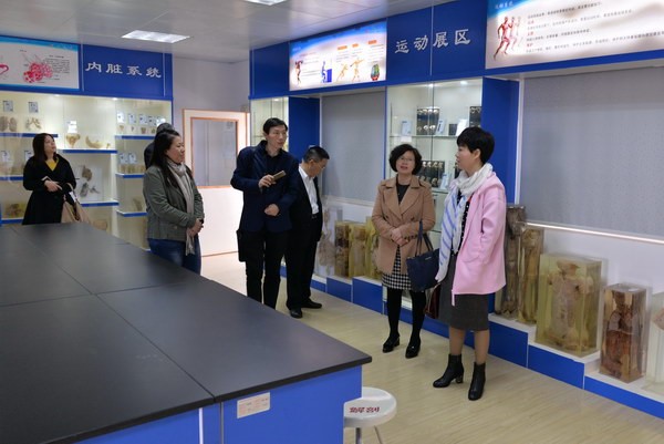 参观解剖实训室