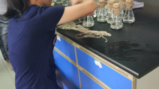 药学院中药专业百会药业岗位实习组圆满结束