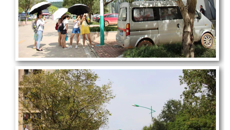 【大美桂中医】桂花开 知秋来