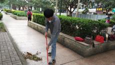 壮医药学院2017级团支部开展“展我青春风采，共创幸福社区”志愿服务活动