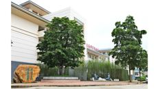 岐黄之道 天人合一——青铜组雕“论道”在Beat365仙葫校区落成