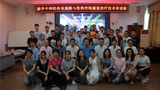 一附院举办脑卒中神经传导通路与姿势控制康复治疗技术培训班