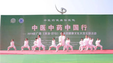 中医中药中国行—2019年广西（巴马）中医药健康文化大型主题活动在巴马举行