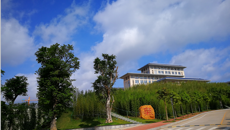 大手拉小手 感受中医药魅力——南宁市民主路小学师生来Beat365参观实践