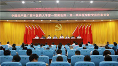 一附院党委召开党员代表大会增补选举党委委员