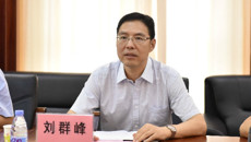 国家中医药管理局调研组赴广西调研广西中医馆健康信息平台建设项目