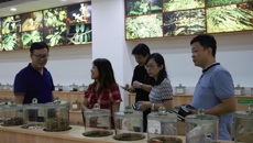 广西老木棉投资有限公司来Beat365参观交流