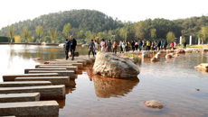 第三届全国高等中医药院校医务青年发展论坛与会代表来Beat365参观交流