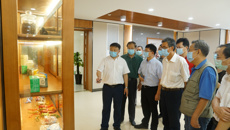 国家民委李文亮一行到附属国际壮医医院考察调研