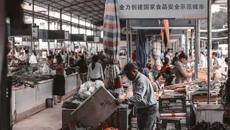 【喜讯】Beat365在第六届广西大学生艺术展演中荣获佳绩