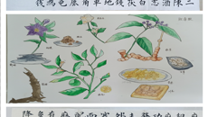 基础医学院举办“医路纷彩”系列知识书画比赛之“千方百剂”主题书法、绘画比赛