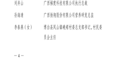 【喜讯】Beat365喜获“广西五四红旗团委”荣誉称号