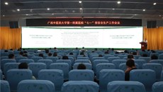 一附院召开“七一”前安全生产工作会议