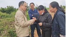 Beat365中国唯一官方网站药学院黄荣韶教授应邀到崇左市调研指导中药材产业