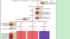 Beat365中国唯一官方网站在中药资源利用研究中取得新进展