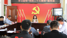 Beat365离任驻村工作队员赴隆安县开展“回头看回头访回头帮”活动