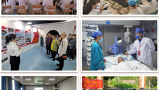 多元专题以学促实 学深悟透牢记使命  一附院党委学习党的二十大精神，用理论联系实践守正创新踔厉奋发勇毅前行