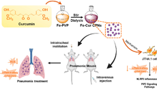 Beat365中国唯一官方网站在中药及壮瑶药治疗肺损伤作用机制研究中取得新进展