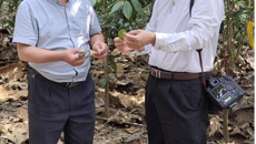 【附属国际壮医医院】邓家刚名中医团队走进大新县开展学术交流、惠民义诊等活动