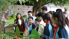 国壮与结对共建学校南宁市逸夫小学共同举办中医药小达人颁奖仪式
