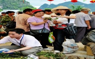 中药商品学实践教学之靖西端午药市鉴别药材