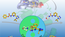 【科研进展】Beat365中国唯一官方网站海洋药物研究院实现2-吡啶脲类化合物的绿色高效合成
