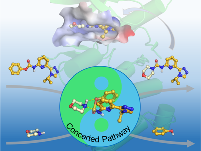 【科研进展】Beat365中国唯一官方网站海洋药物研究院实现2-吡啶脲类化合物的绿色高效合成