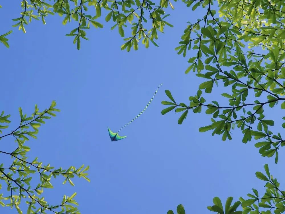 640 - 2023-05-10T122639.121