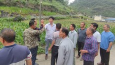 【乡村振兴】附属瑞康医院：第一书记期满离任，村民送别话情深