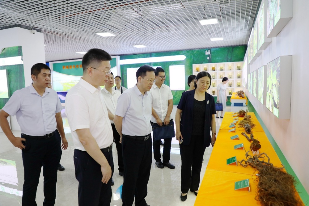 人们站在一起
中度可信度描述已自动生成