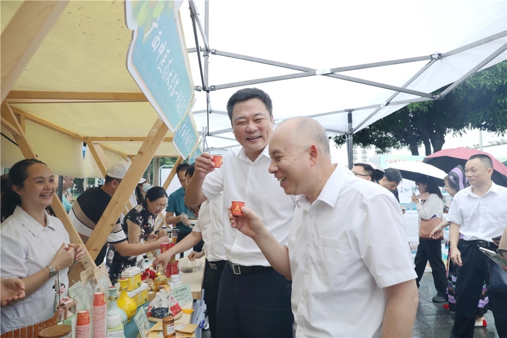 自治区中医药局党组书记、局长黎甲文参观我院展区