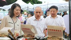 壮瑶医药亮相广西中医药文化市集