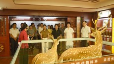 兴宁区政协委员到附属瑞康医院中医药博物馆考察