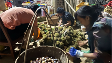 情系四联暖民心 第一附属医院职工消费帮扶助振兴