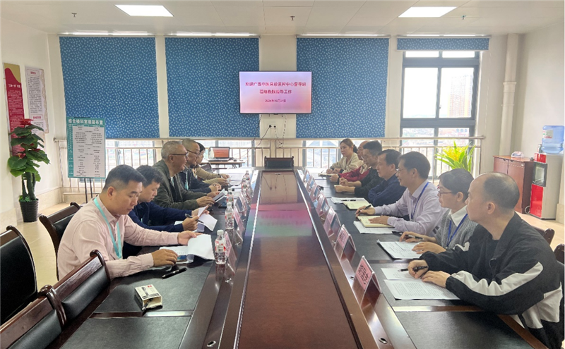 在龙州县中医医院督导工作