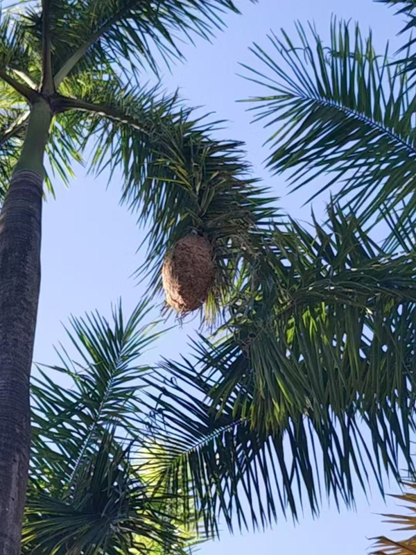 2cac4ccdb2659527916a5271fc34bb9