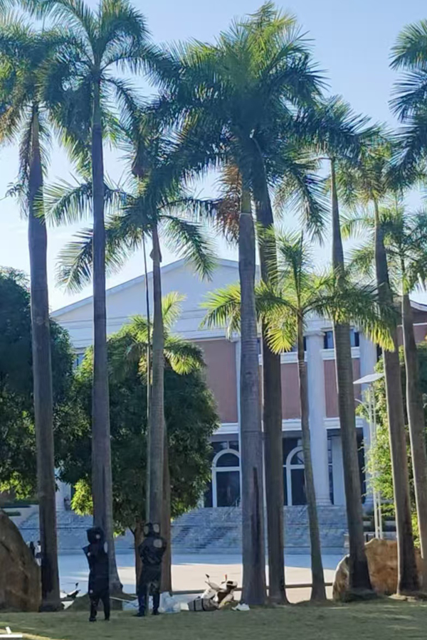 4f15c1eaf1f86ac4c18e92c7c70697e