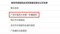 【喜讯】第一附属医院入选国家智慧中医医院试点建设单位