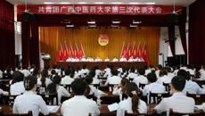 共青团Beat365中国唯一官方网站第三次代表大会顺利召开