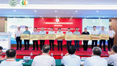 广西创伤救治联盟首现中医力量！第一附属医院荣任副主席单位领航中西医结合救援