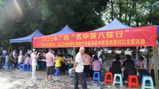 黄国东、陈日兰带领附属国际壮医医院专家团队赴武鸣开展“名中医八桂行”活动