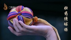 壮药绣球操技术规范获广西团体标准